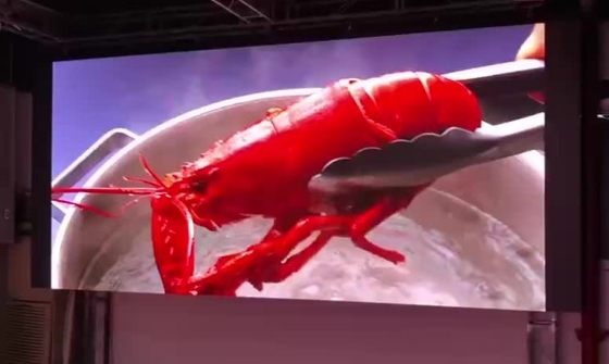 Le video pareti principali all'aperto IP40 hanno condotto lo schermo 16bits 3840hz del contesto della fase