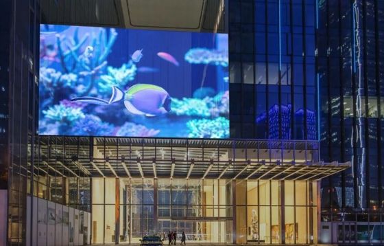 ISO14001 Display interattivo creativo a LED trasparente ODM Per centri commerciali