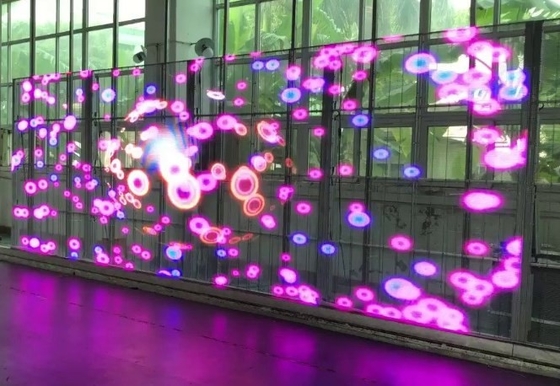 Schermo trasparente RGB della parete di AC85V LED il video ha condotto lo schermo di visualizzazione della finestra